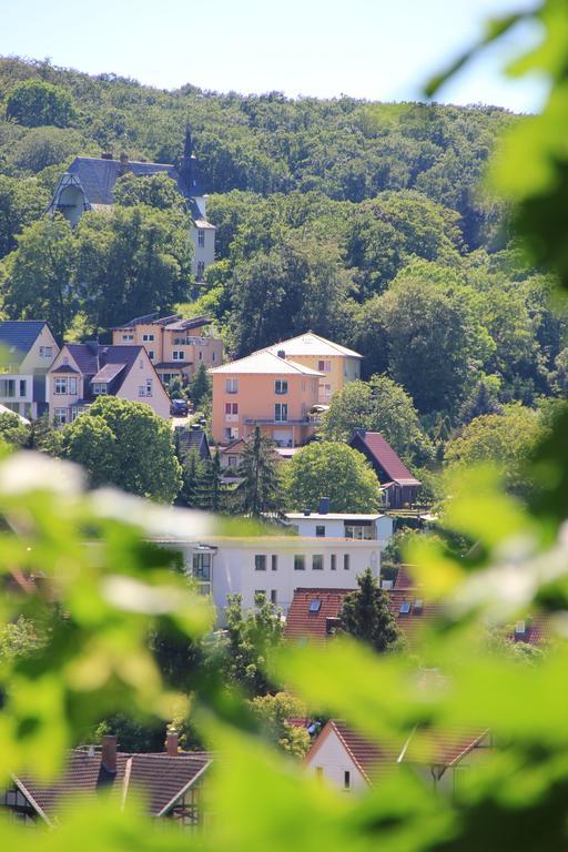 Vis-a-vis Wernigerode